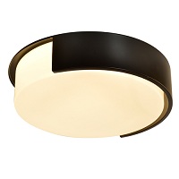 Modern flush mount ceiling light