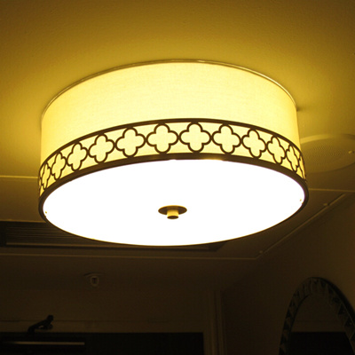 Ceiling Entry Light