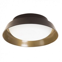 Black and gold flush mount light